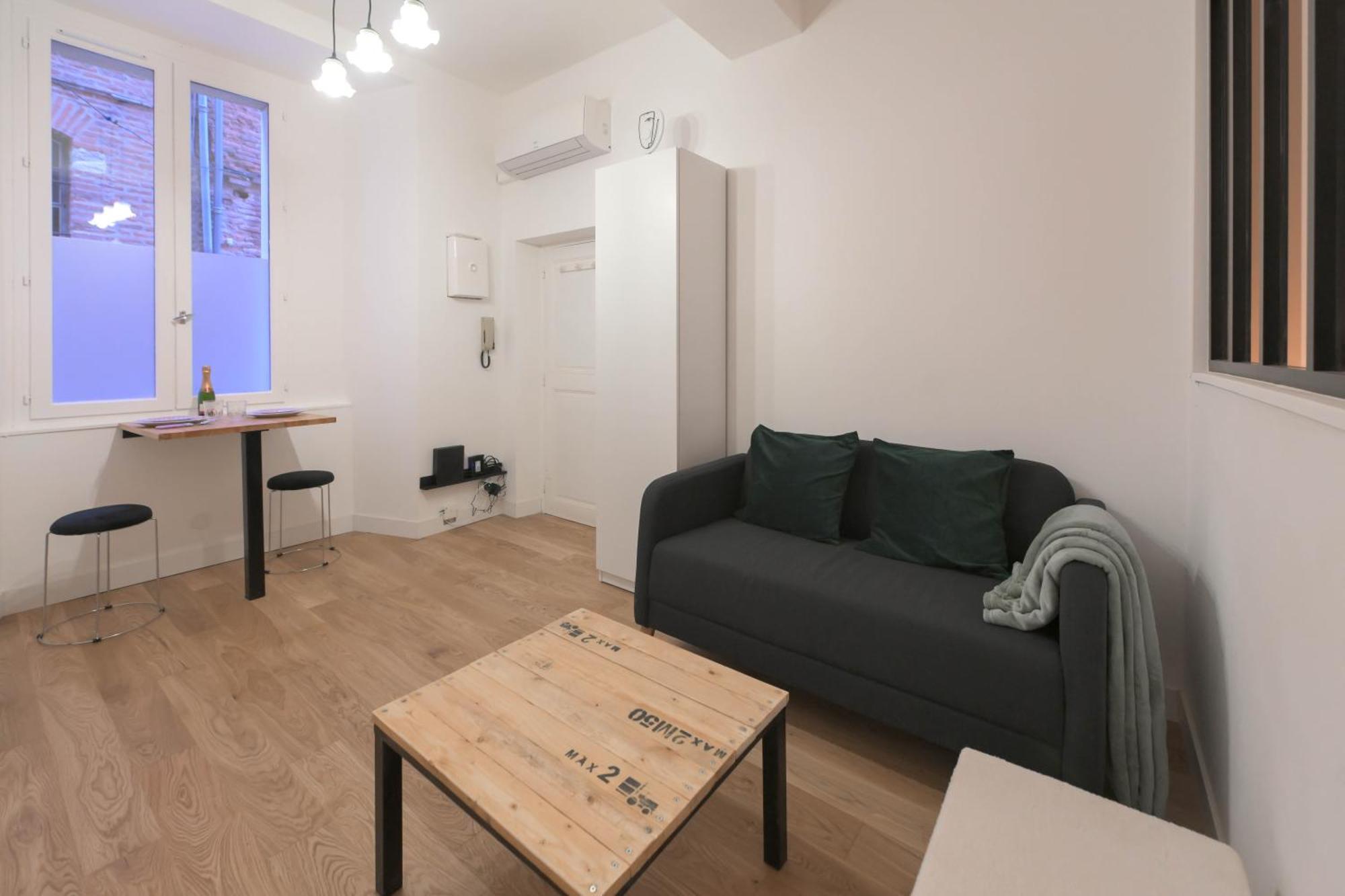 Appartement T1 Bis L'Enfilade 阿尔比 外观 照片